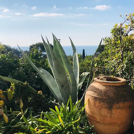 Calanque Lejlighed *