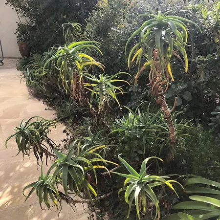 アパート Calanque *