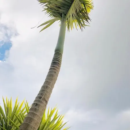 Calanque Apartment Cassis