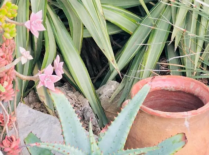 Calanque 아파트 *