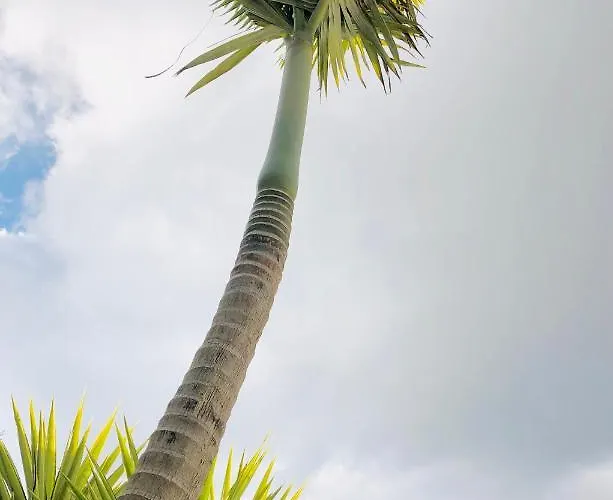 Calanque 아파트 카시스