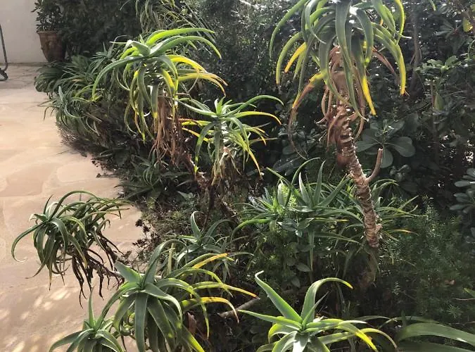 아파트 Calanque *